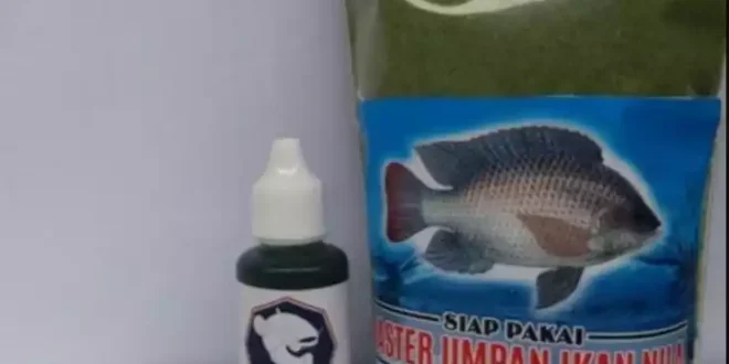 Cara Membuat Essen Lumut Ikan Nila Liar